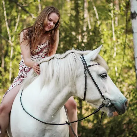 Kurkimoekki Parikkala