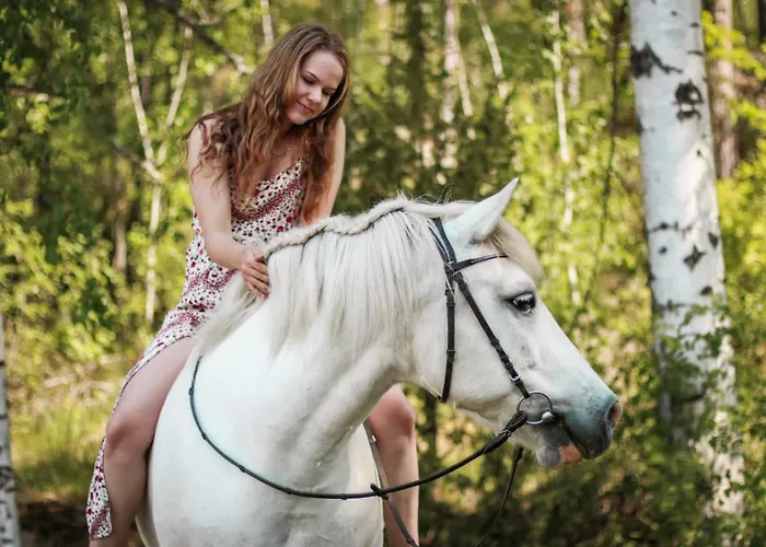 Kurkimoekki Parikkala