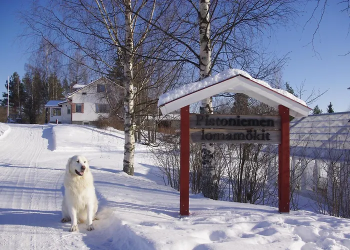 Willa Kurkimoekki Parikkala