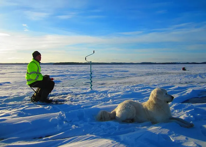 Villa Kurkimoekki Parikkala